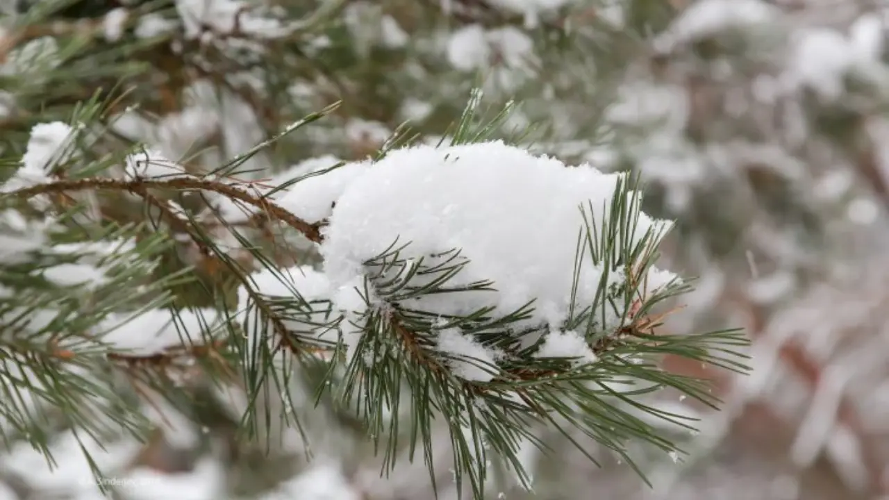 Avalanche risk announced in mountainous areas
