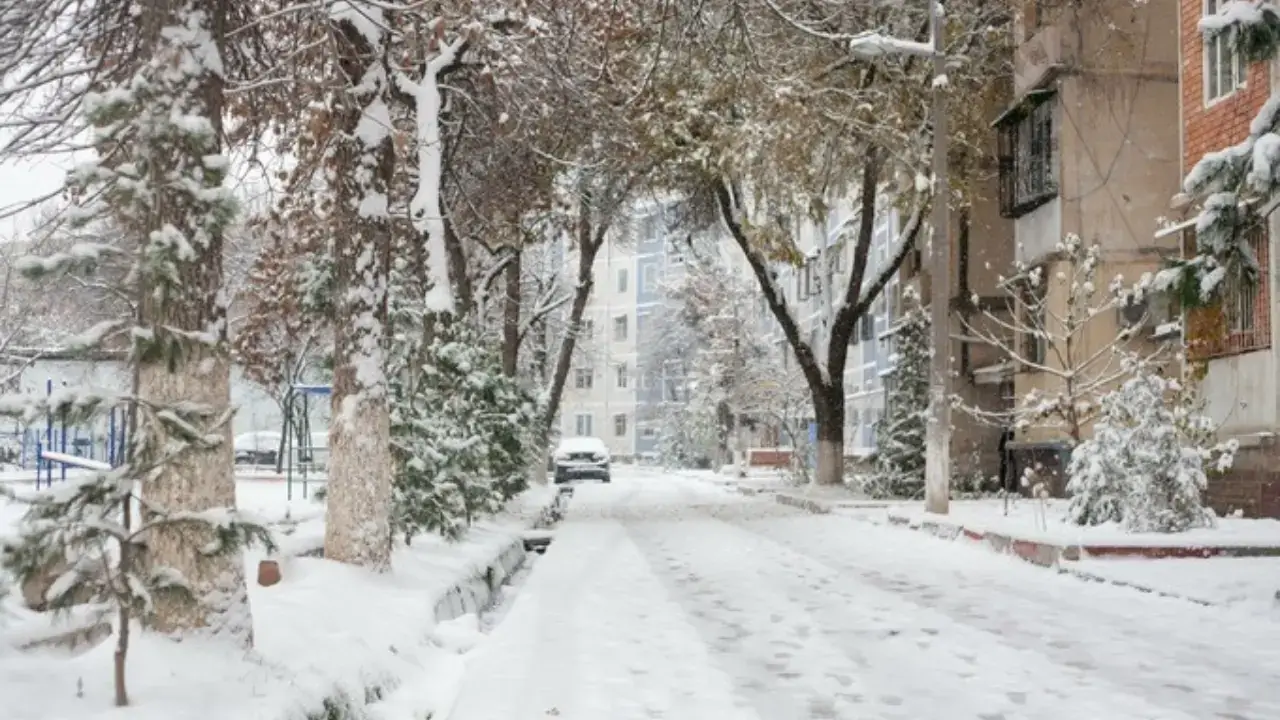 Weather will be variable at the beginning of January