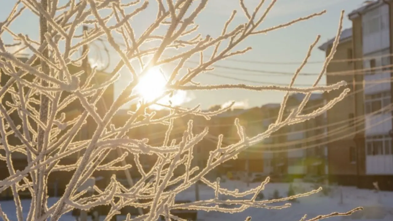 13 января: В Узбекистане ожидается тёплый и солнечный день