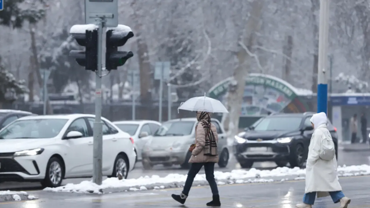 January 23: Snow, fog, and cold expected