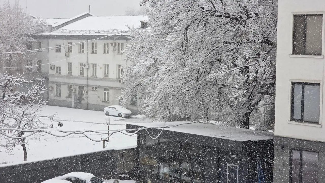 28-yanvar: O‘zbekistonda qor, tuman va sovuq kutilmoqda