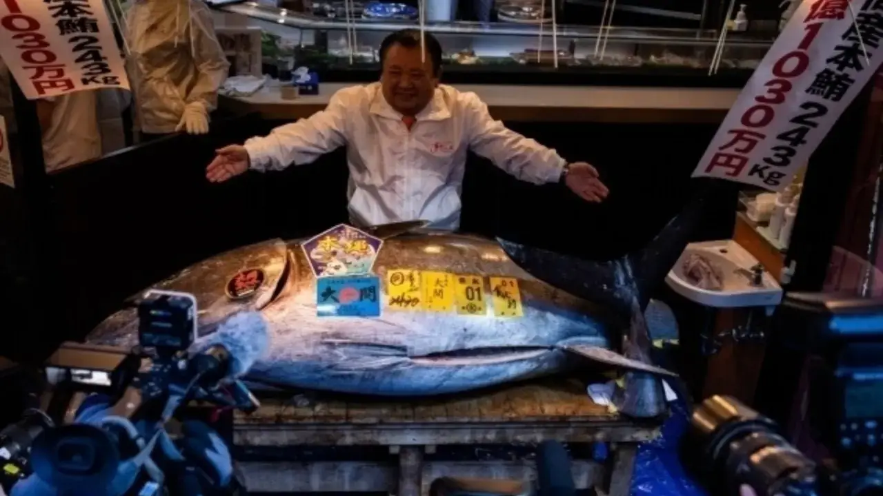 243-kilogram tuna sold for 3.2 million dollars in Japan