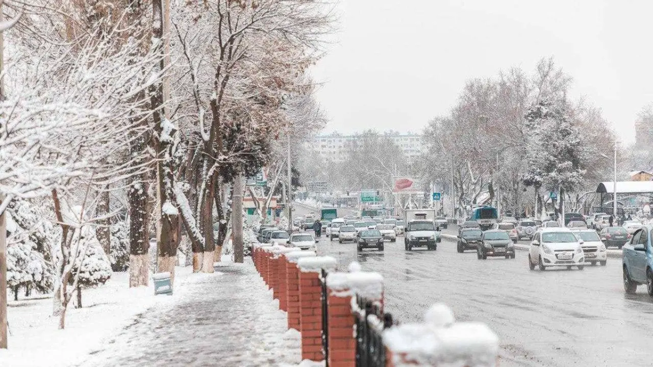 Dam olish kunlari havo iliqlashadi, shamol kuchayadi