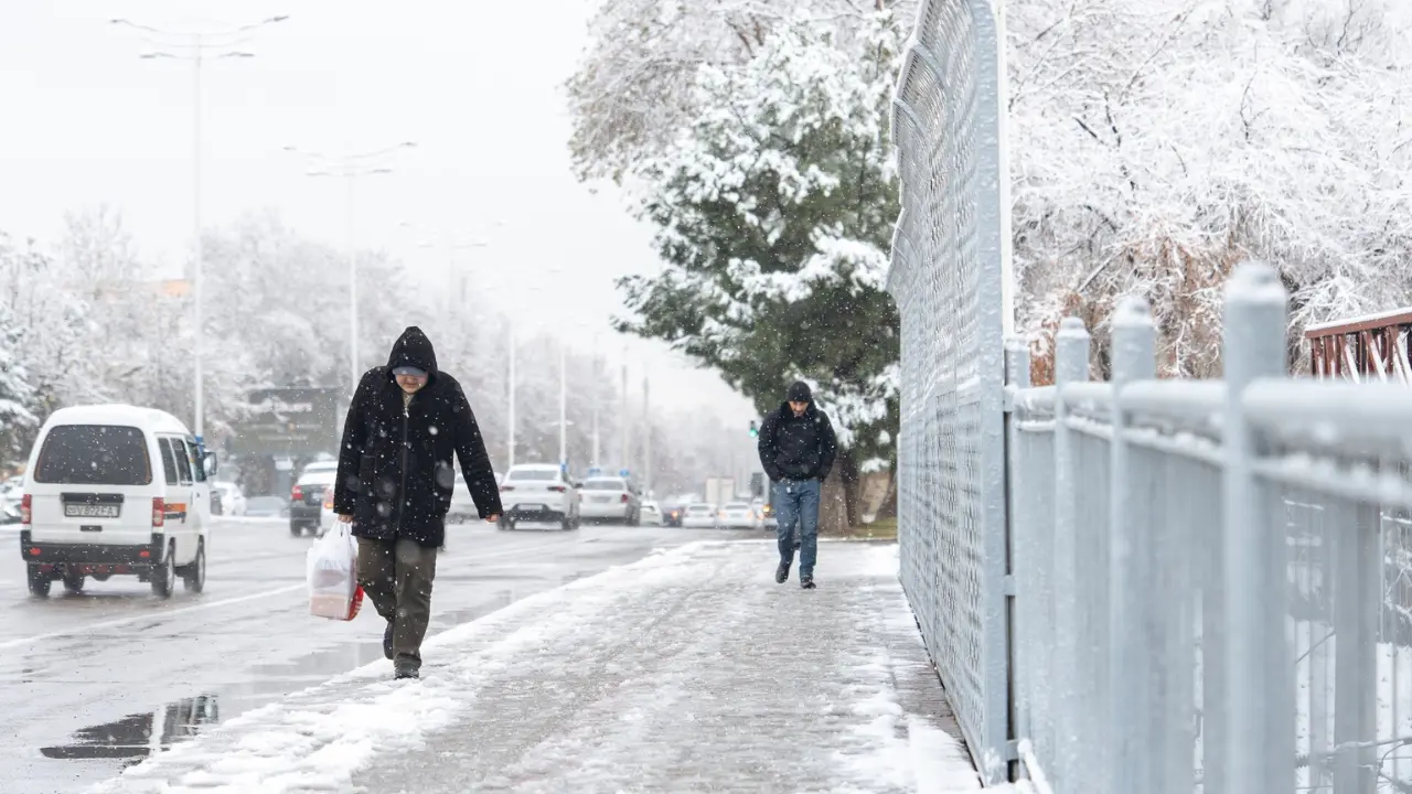 January 11: Weather in Uzbekistan will be variable, foggy