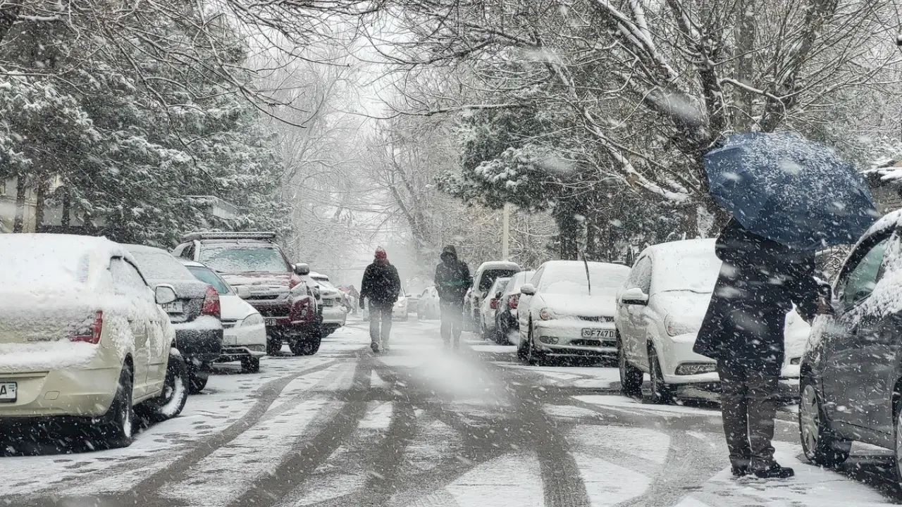 O‘zbekistonda 20-yanvar kuni sovuq havo davom etadi