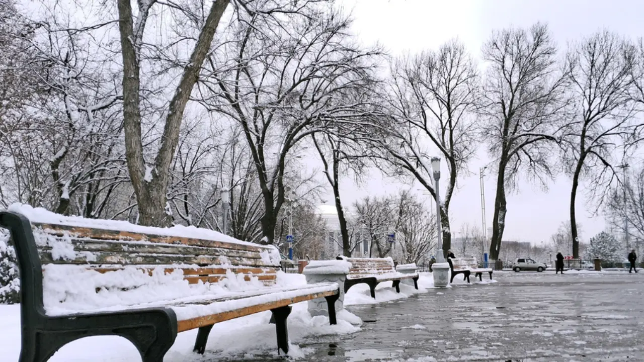 10 января: В Узбекистане тепло и без осадков