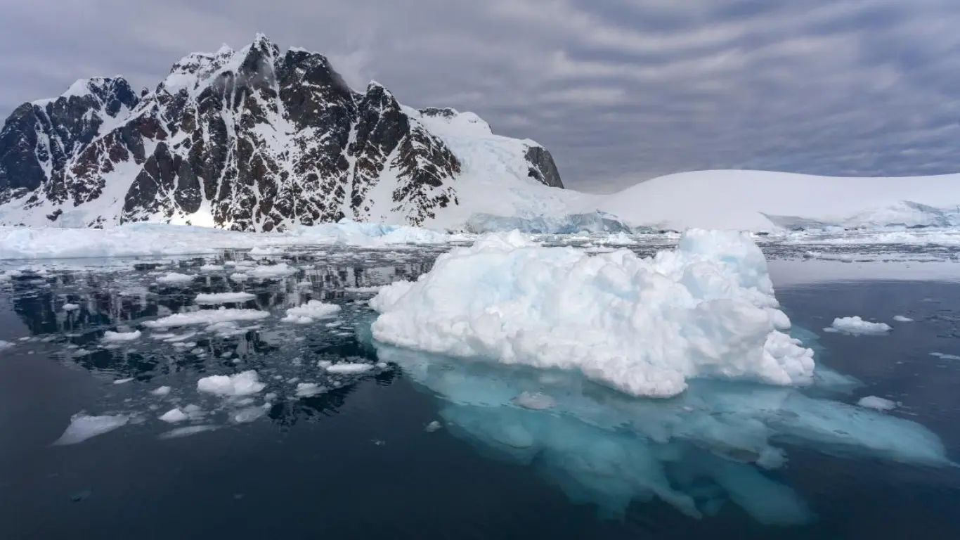 Antarktida muzlari qisqarishi global xavf tug‘dirmoqda