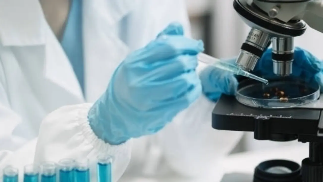 School student discovered bacteria against fungi