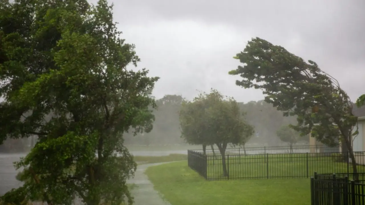 O‘zbekistonda dam olish kunlari havo salqin bo‘ladi