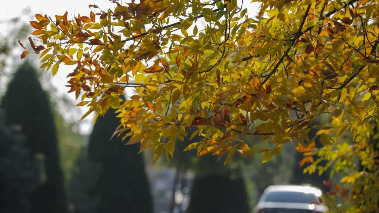 В феврале температура поднимется до +22 градусов