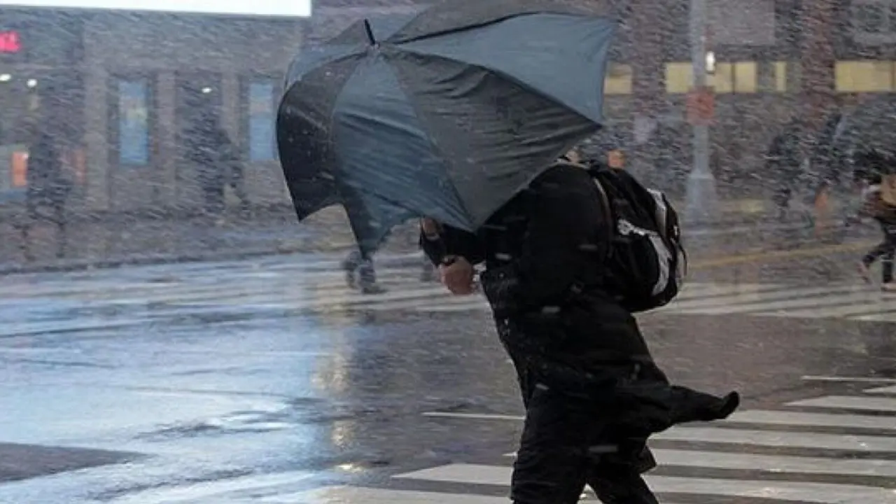 14 февраля в Узбекистане будет тепло