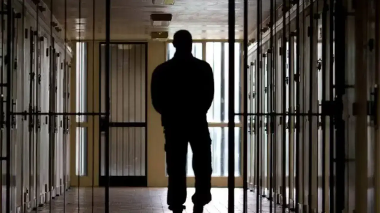 2025 yilda 63 mingdan ortiq jinoyat ishi ko‘rildi