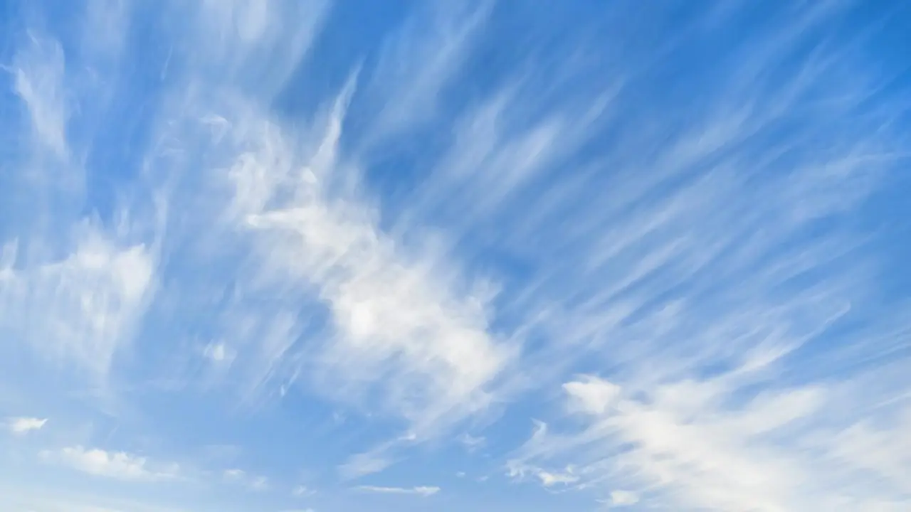 February 19: Warm day, strong wind in some areas