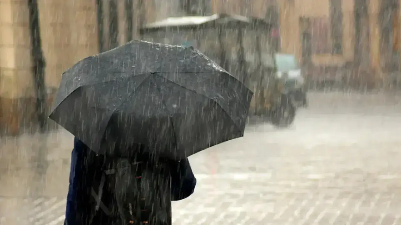 В Узбекистане ожидаются осадки и туман