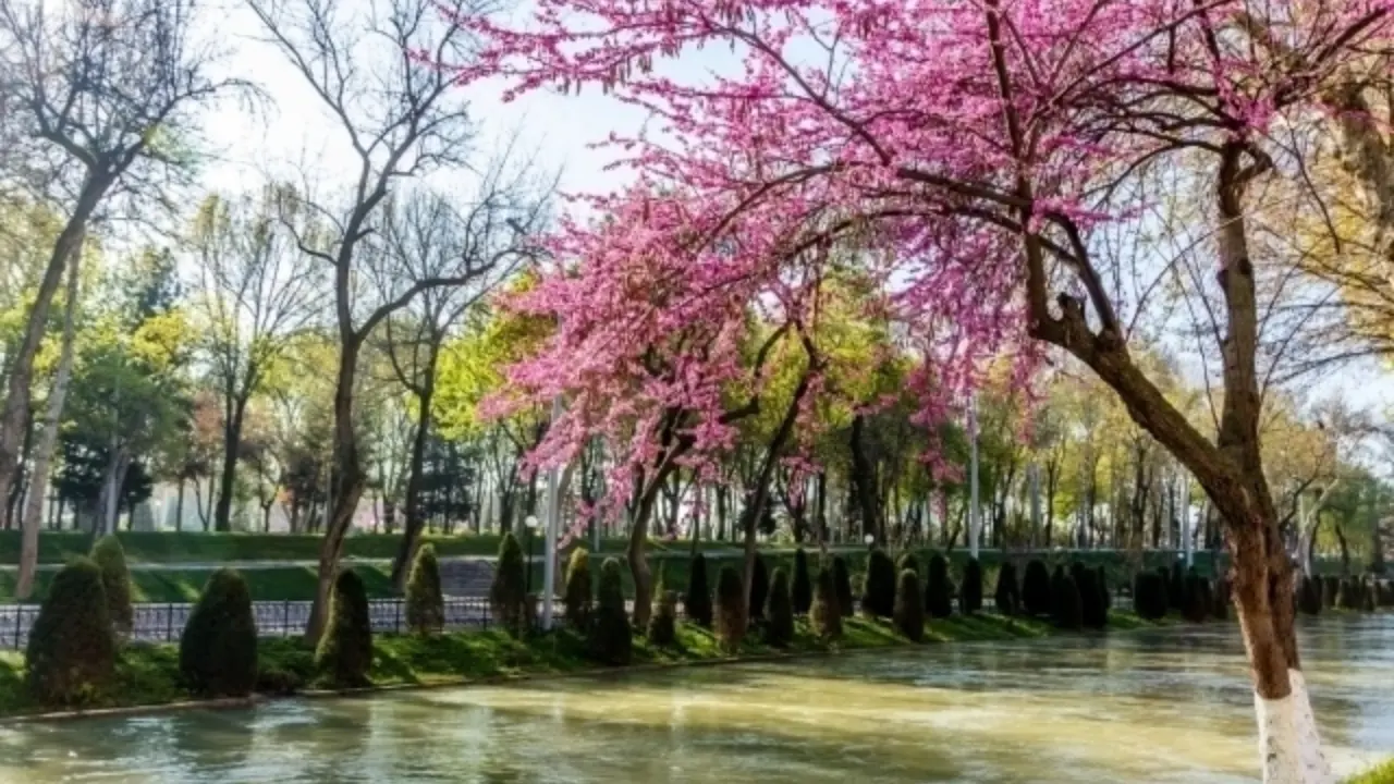 Weather in Uzbekistan on March 27: temperature and wind changes