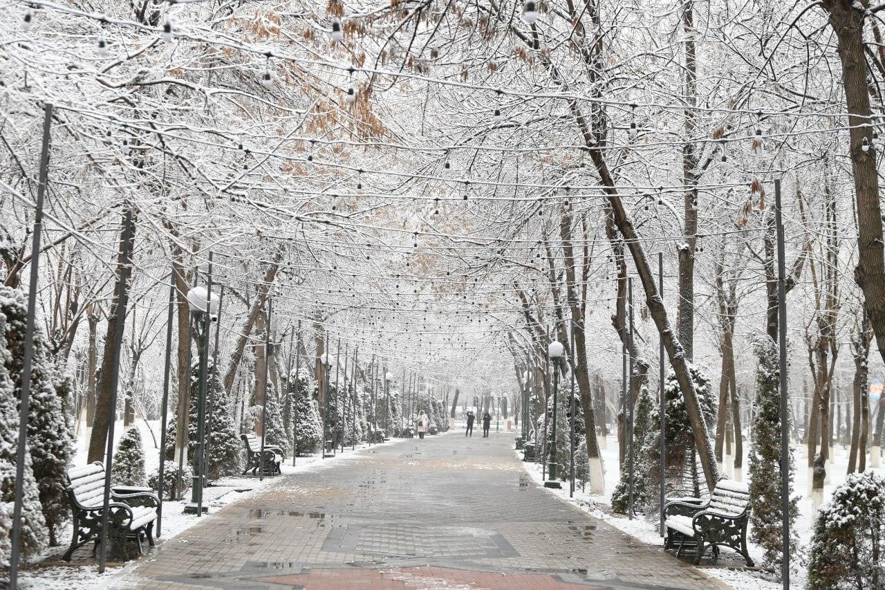 Unstable weather and strong winds are expected in Tashkent on March 11