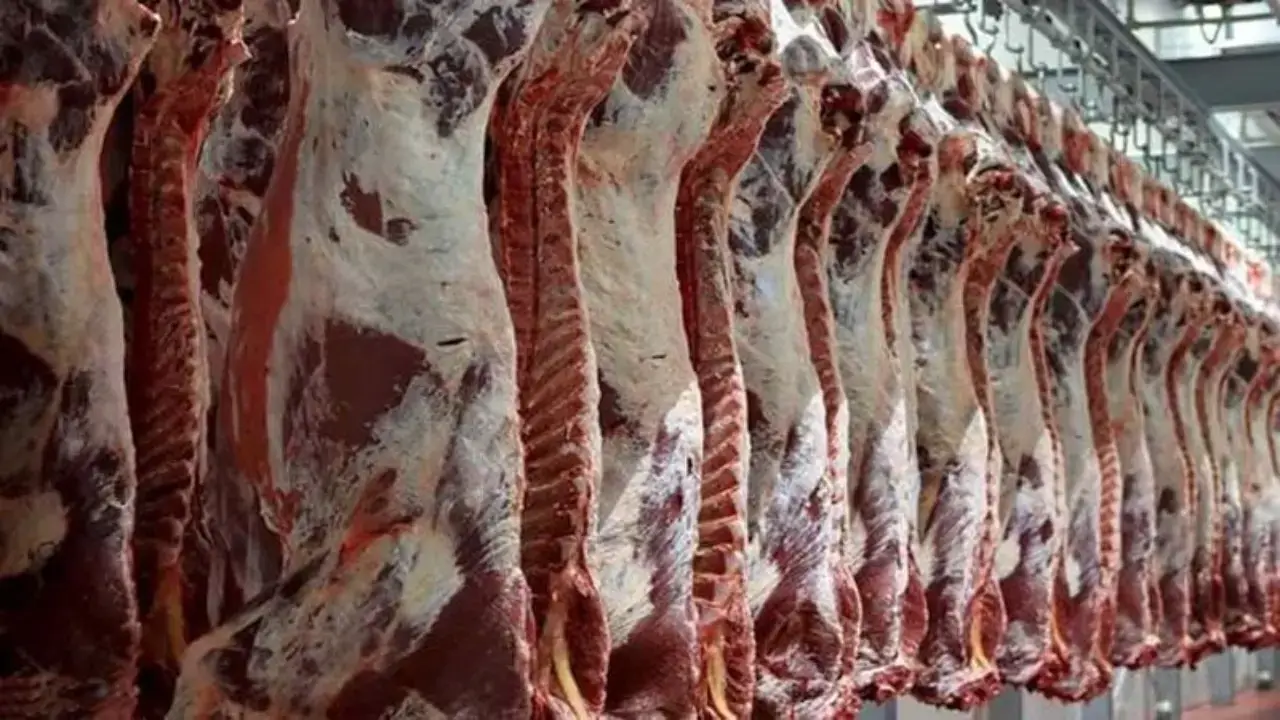 Meat prices remain high in Kazakhstan due to exports