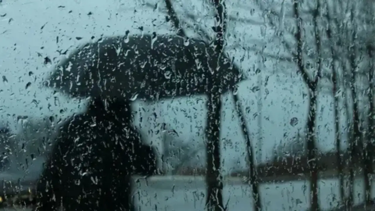 Spring cool weather expected in Uzbekistan