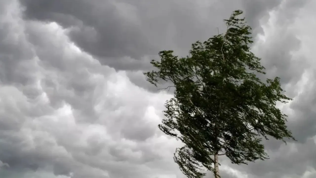 O'zbekistonda ob-havo sharoiti o'zgaruvchan kechishi kutilmoqda