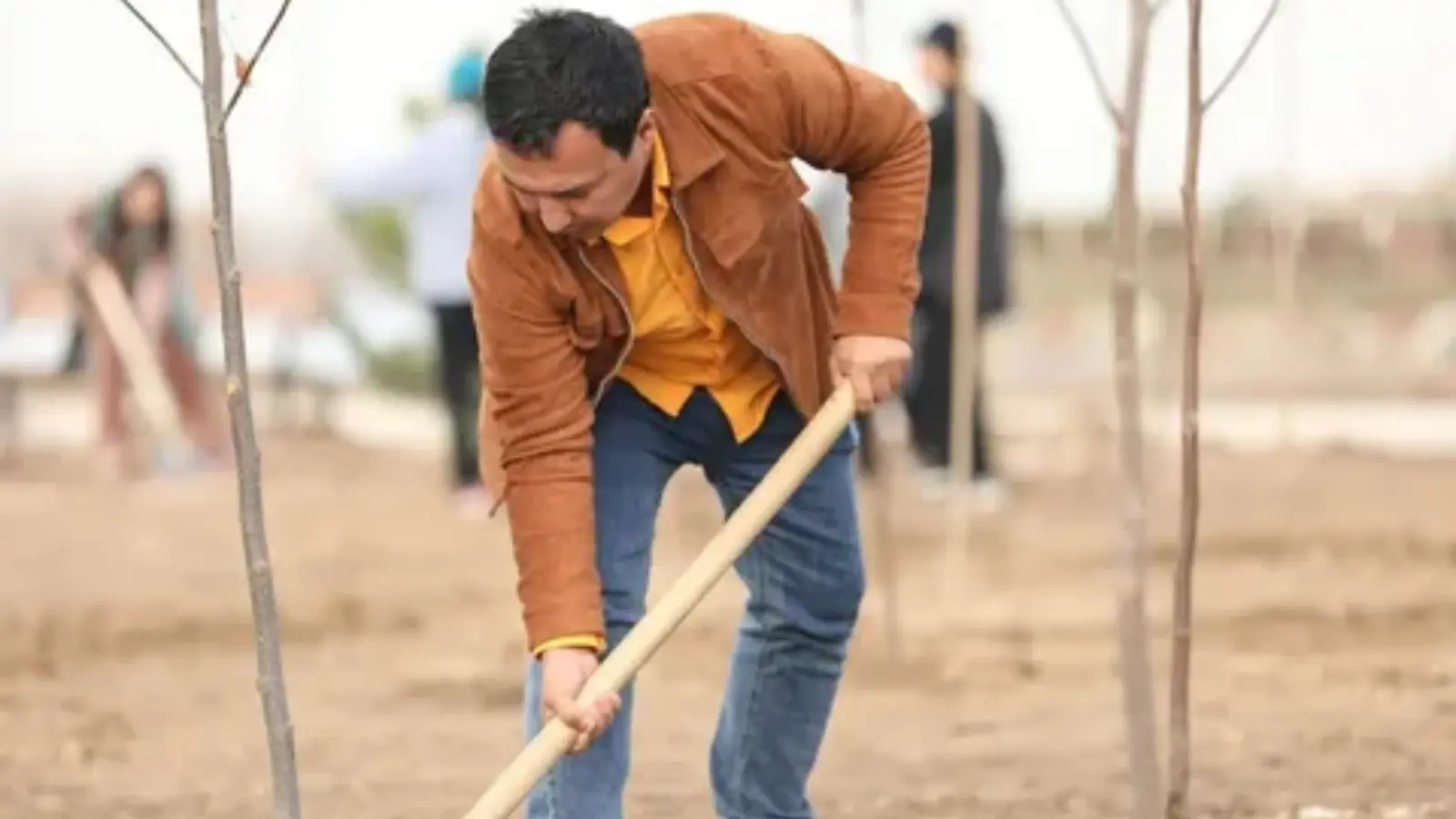 Yashil bilet tizimi joriy etilib karbon izi kompensatsiya qilinadi