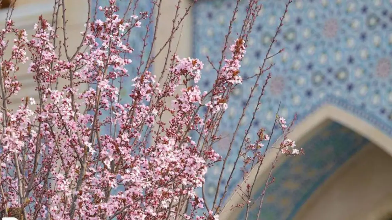 O'n to'rtinchi martda O'zbekistonda ob-havo yaxshilanadi