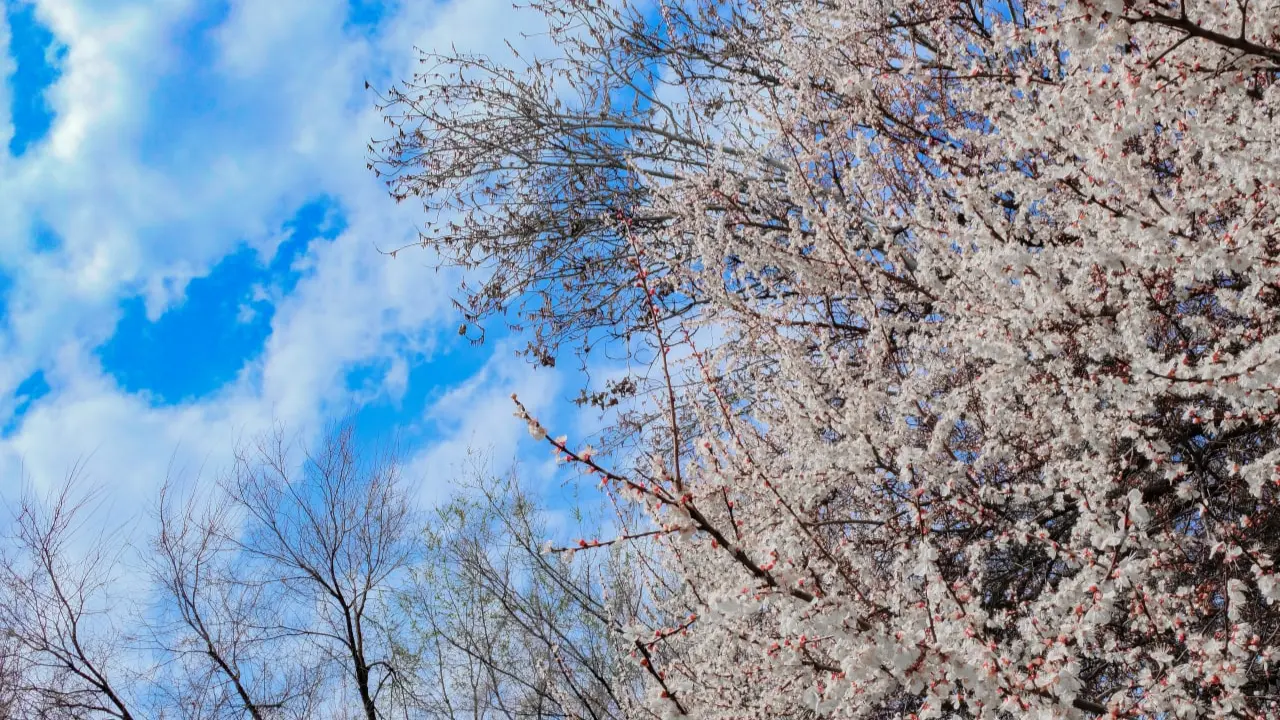 Weather will be variable in Uzbekistan on February 23