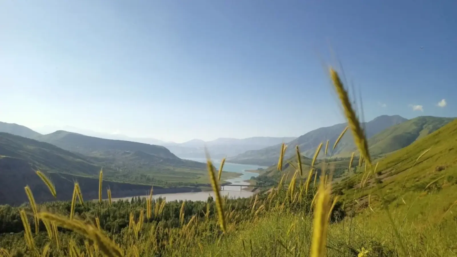 Ish haftasi oxirida O'zbekistonda issiq ob-havo hukm suradi