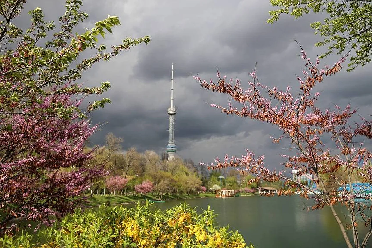 Aprel oyida O‘zbekistonda qisqa muddatli yomg‘irlar kutilmoqda