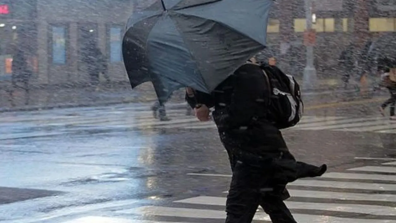 В Узбекистане 12 марта ожидается безосадочная погода и туман