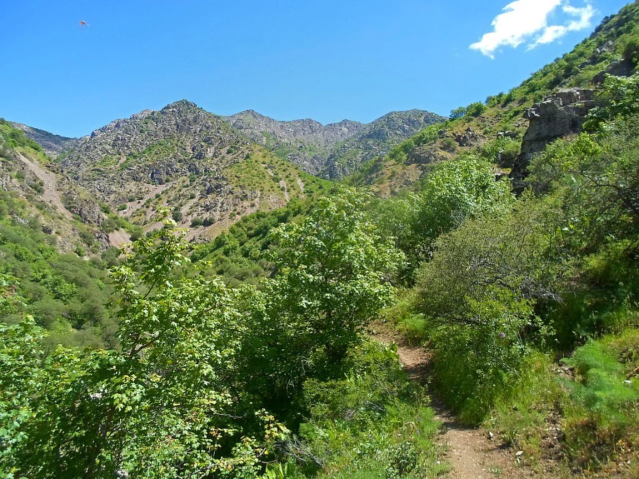 Toshkent va Farg'onada yangi milliy tabiat bog'lari tashkil etiladi
