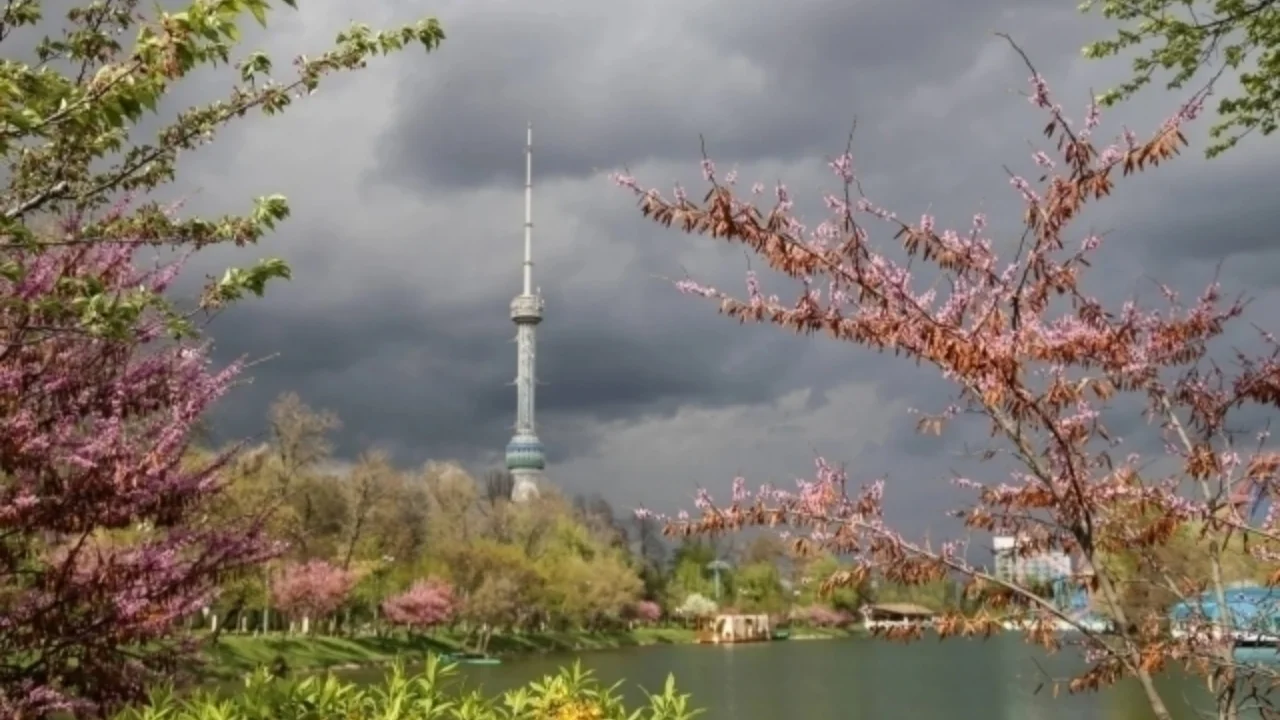 Dam olish kunlari O'zbekistonning aksariyat hududlarida quruq ob-havo kuzatiladi