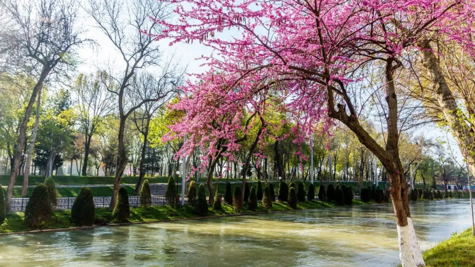 Clean Air project is starting in Uzbekistan
