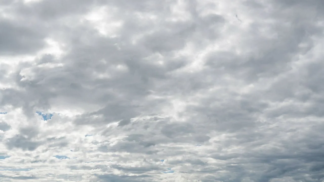 O'zbekistonning ko'plab hududlarida quruq va barqaror ob-havo kuzatiladi