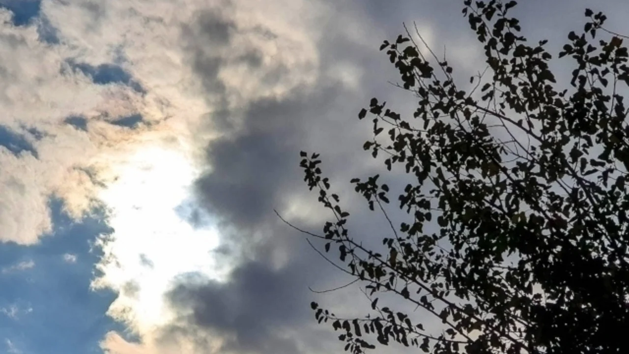 O'zbekistonda yangi hafta iliq va quruq ob-havo bilan boshlanadi