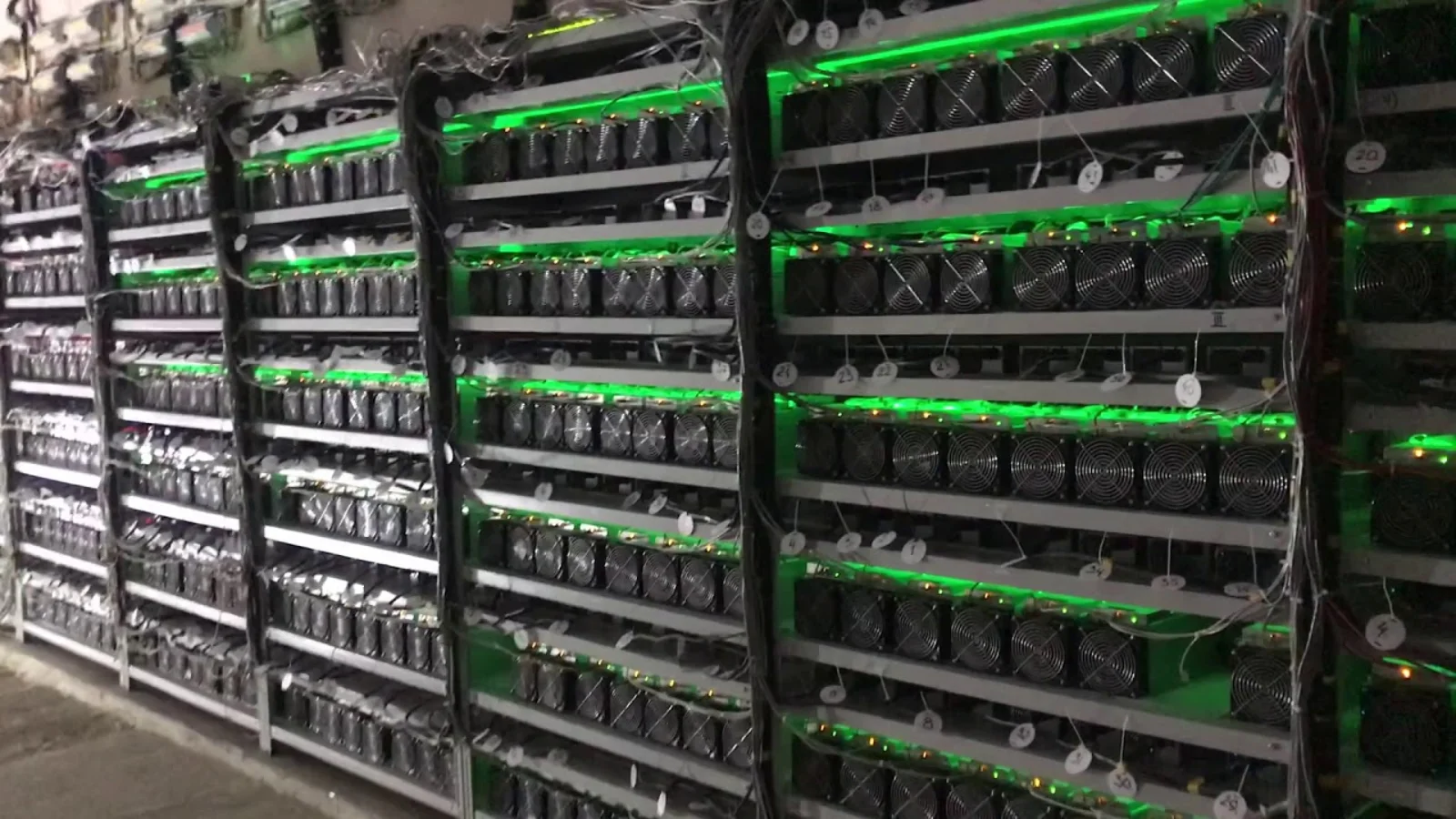 Qoraqalpog'istonda maxsus mayning zonasi tashkil etilishi belgilandi