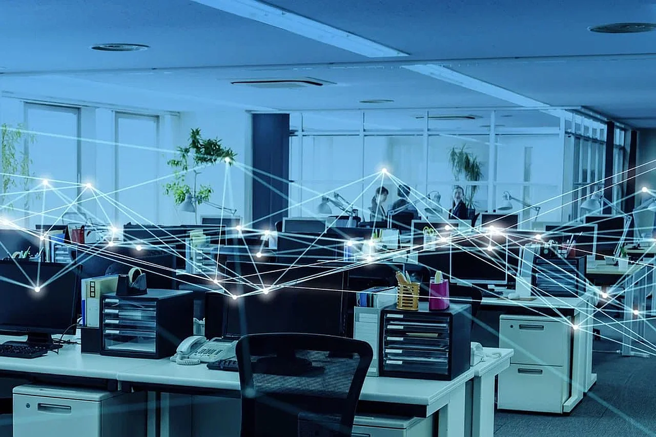 The number of foreign IT companies in Uzbekistan is increasing