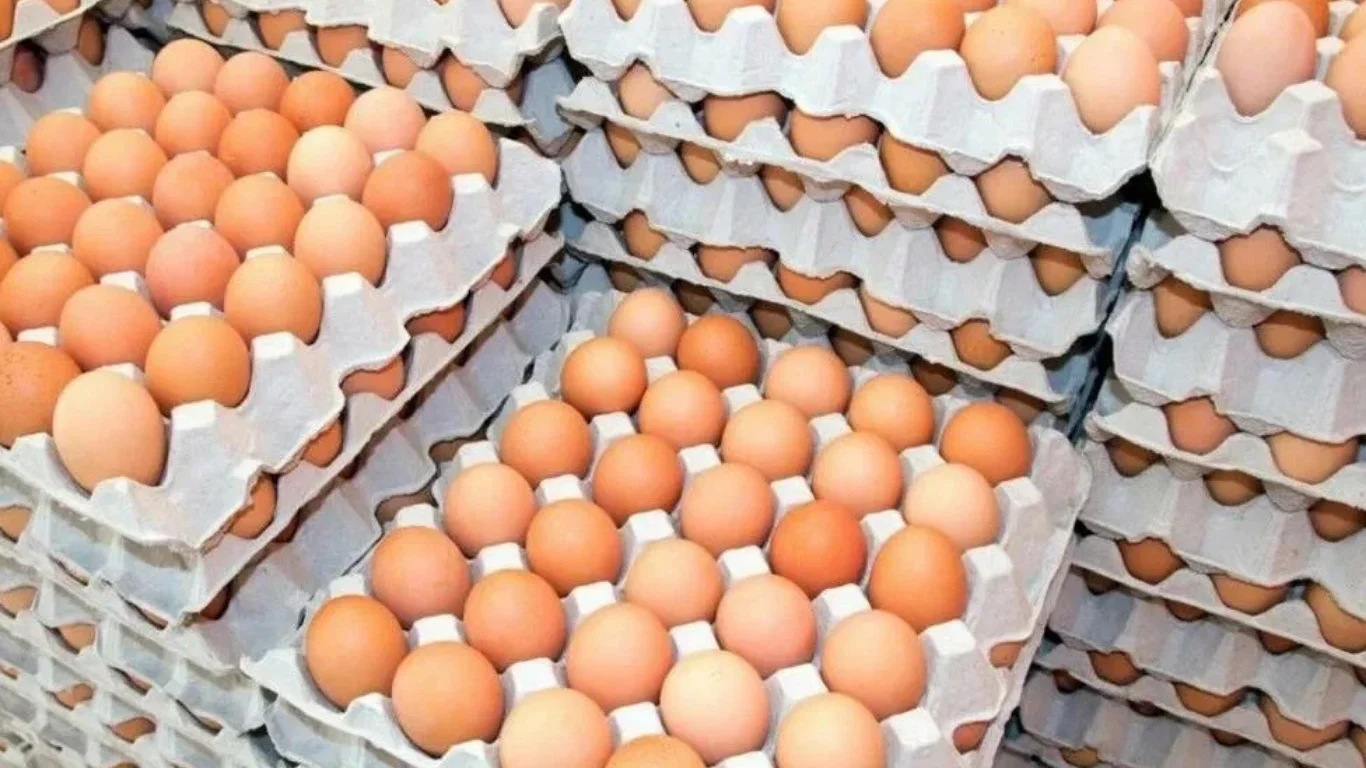 Qozog'iston tovuq tuxumi importiga olti oylik taqiq