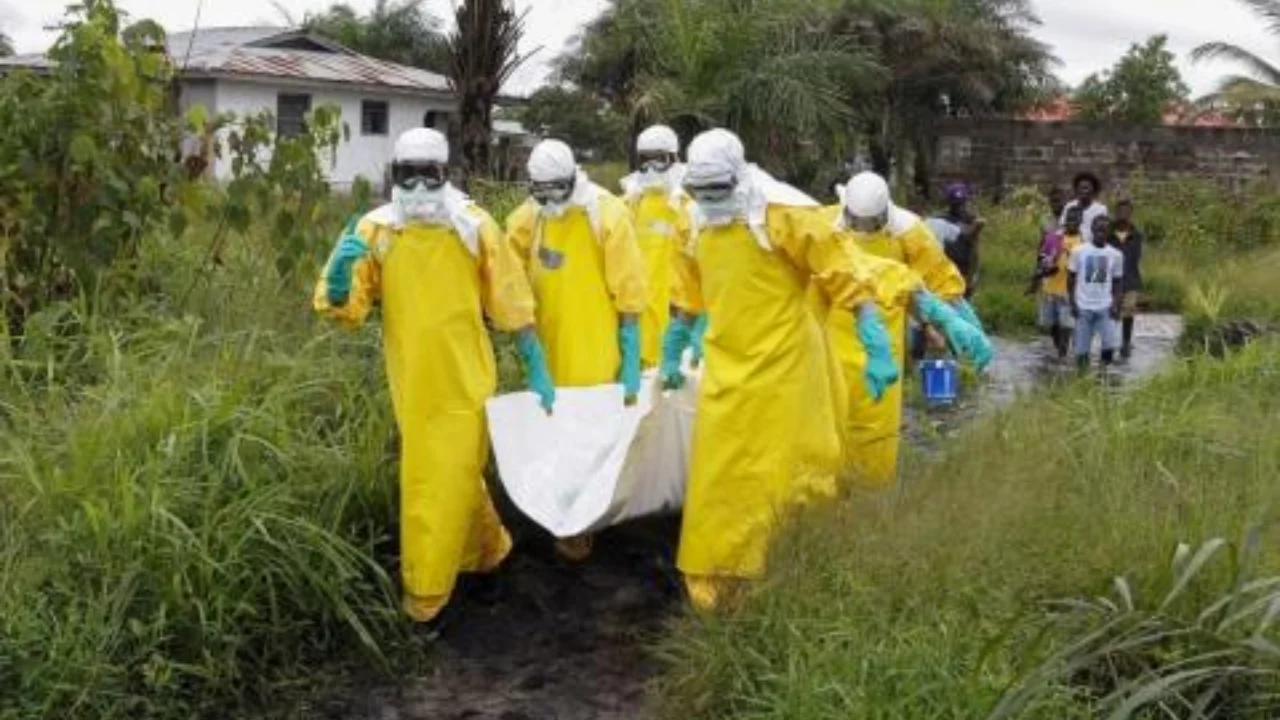 Kongoda Ebola virusi tarqalishi oqibatida o'nlab kishilar vafot etdi