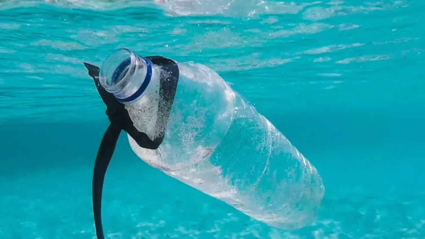 Xitoylik olimlar o'zidan mikroplastik qoldirmaydigan tirik plastik yaratdi