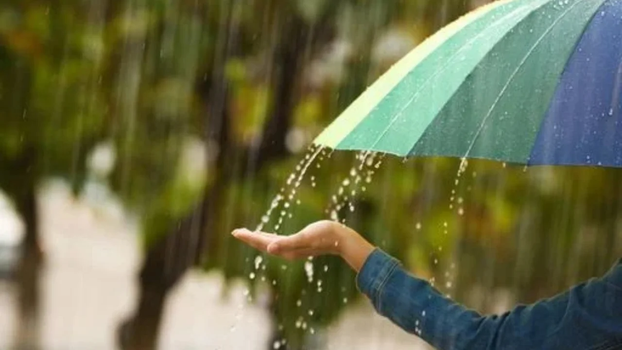 O'zbekistonning ko'plab viloyatlarida beqaror ob-havo va yog'ingarchilik kutilmoqda