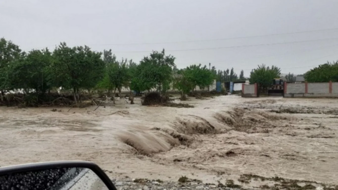 O'zbekistonning bir qator hududlarida sel kelishi xavfidan ogohlantirildi