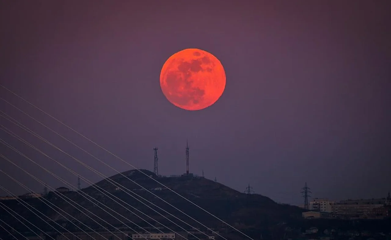 Avqust oyida noyob astronomik hodisa qisman oy tutilishi kuzatiladi
