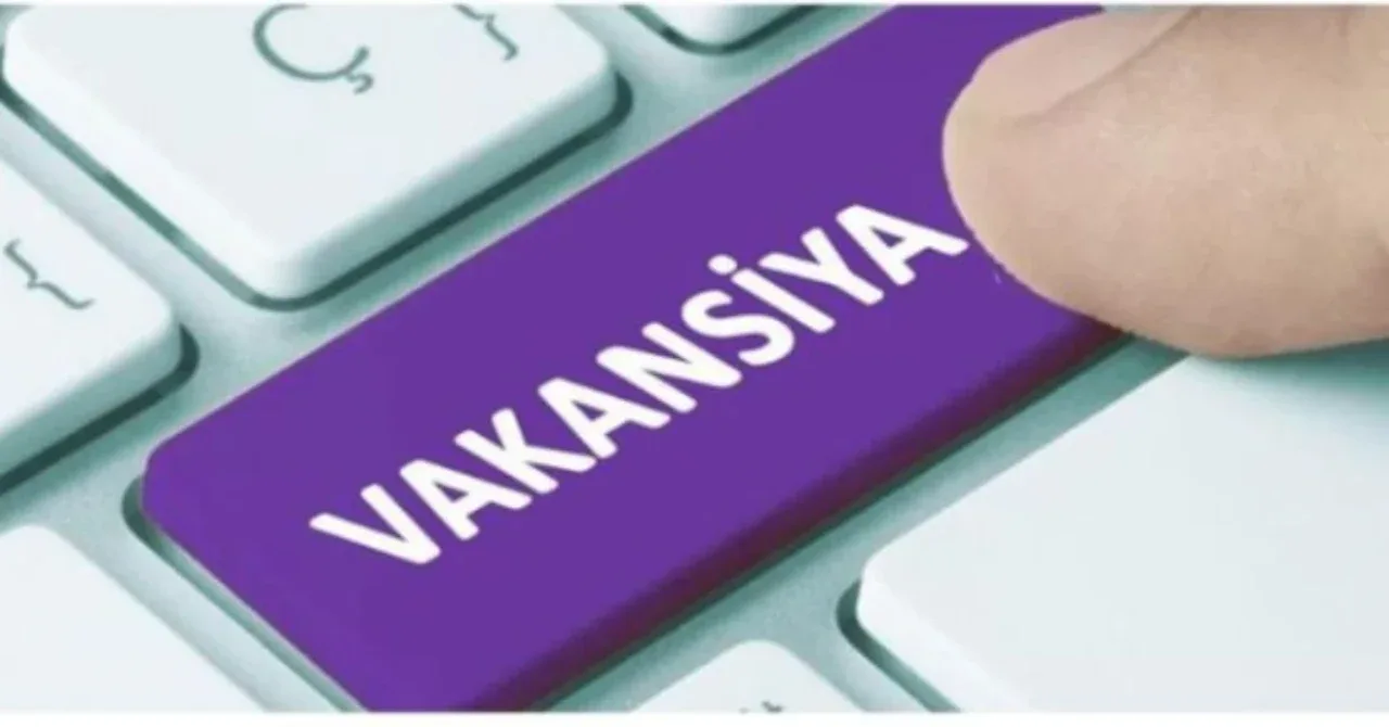 Diplomsiz yoshlar orasida ishsizlik darajasi rekord darajada kamaydi